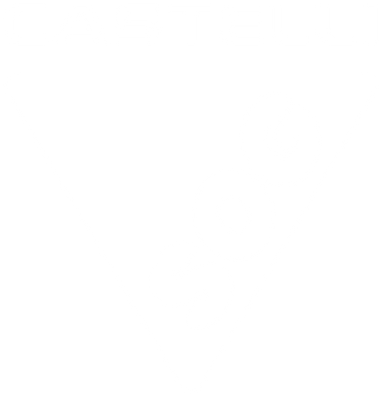 Castelli SOG Triangle