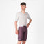 SILVER GRAY BORDEAUX